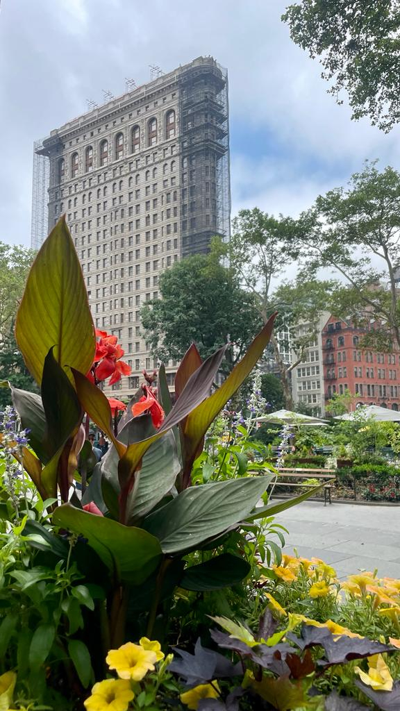 zomer in New York bucketlist
