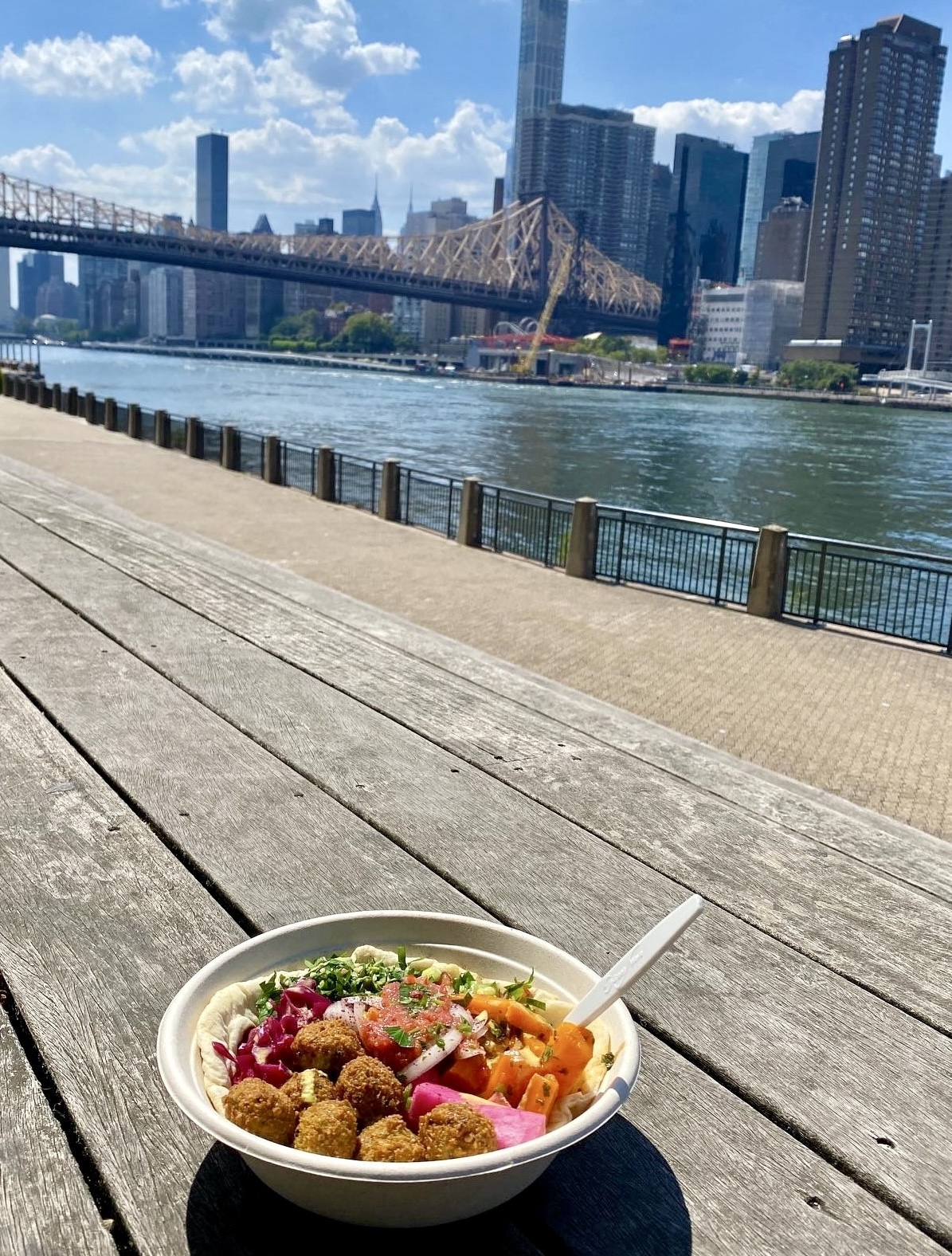 Roosevelt Island