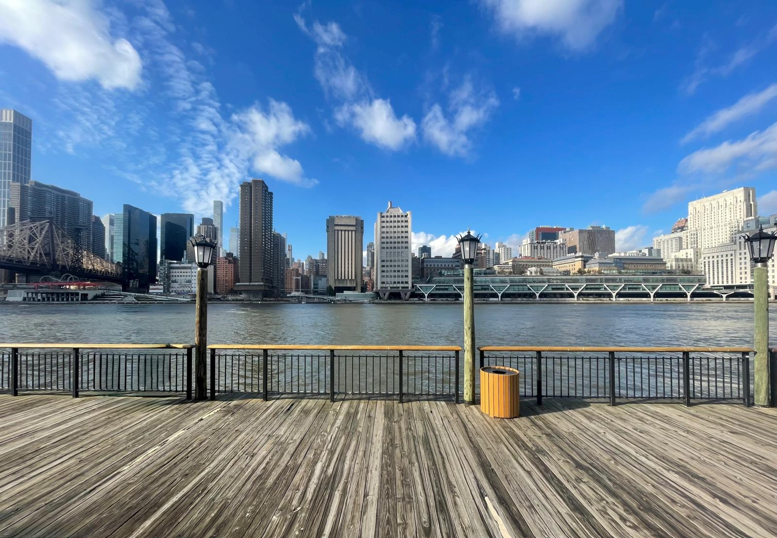 Roosevelt Island